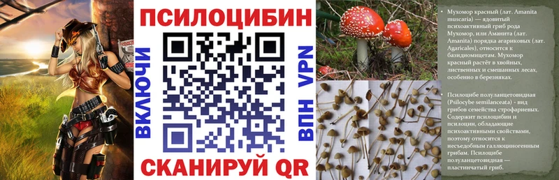 Галлюциногенные грибы Psilocybine cubensis  закладки  Теберда 