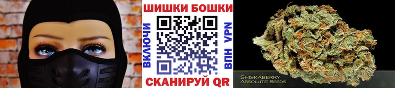 закладки  Теберда  Бошки Шишки семена 